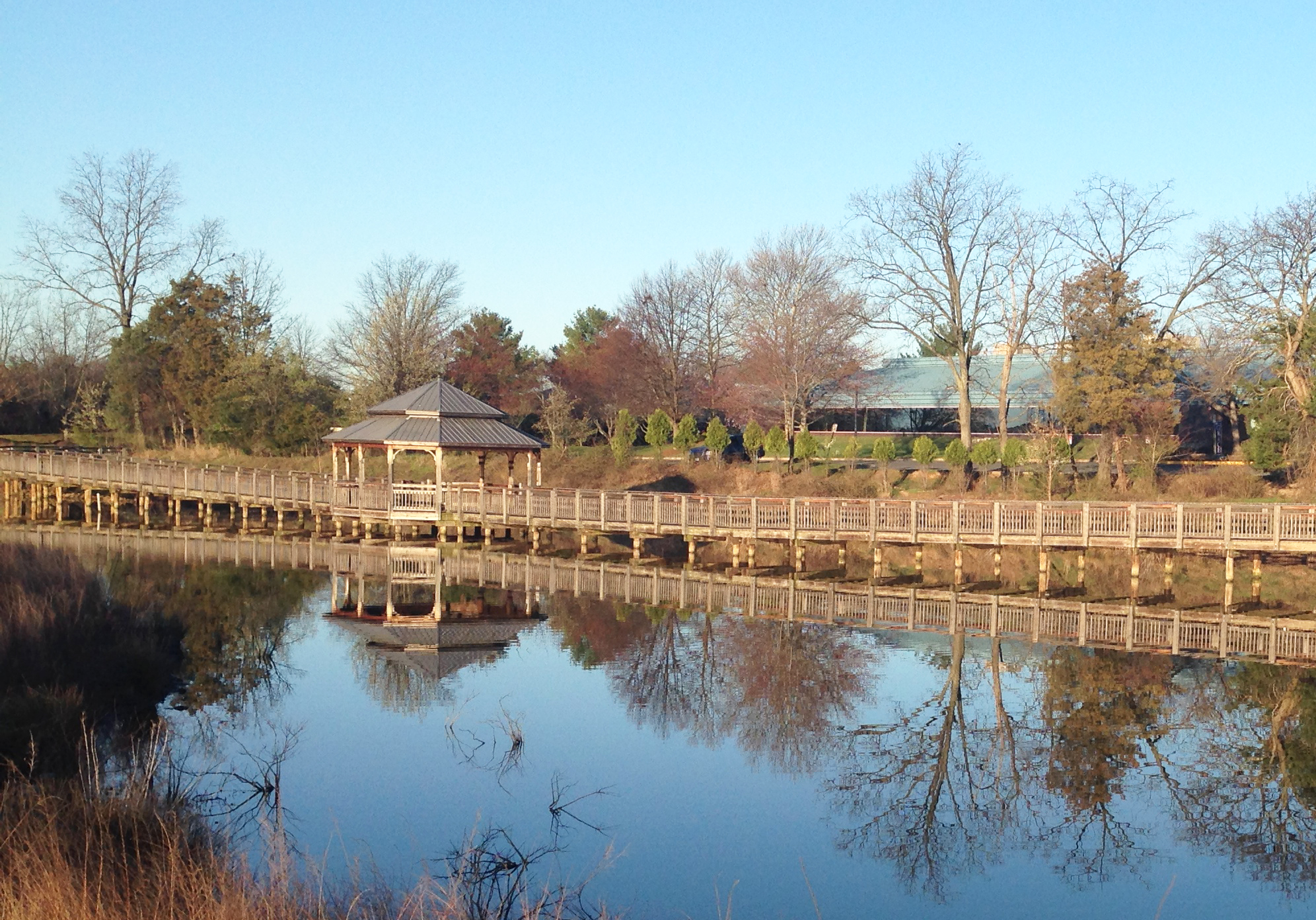Arrowbrook Park Pond