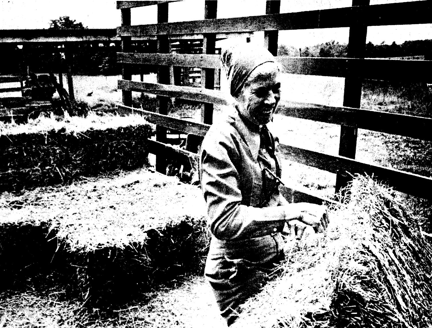 Ruth on Arrowhead Farm